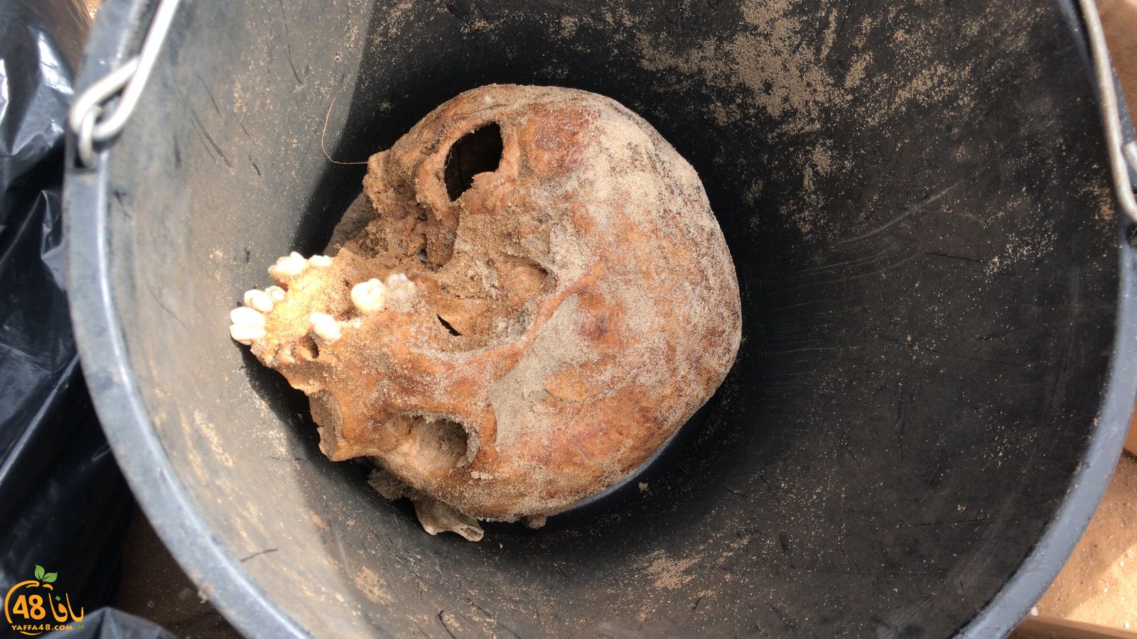 WhatsApp Image 2020-06-17 at 9.30.49 AM (3).jpeg.jpg.jpg